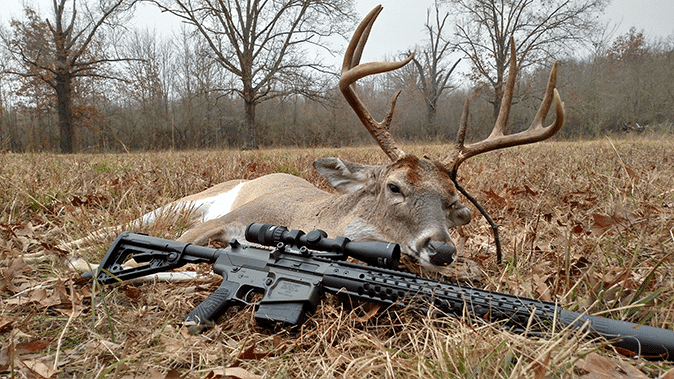 AR-15 Deer Hunting: Tips and Tricks for a Successful Hunt - News Military